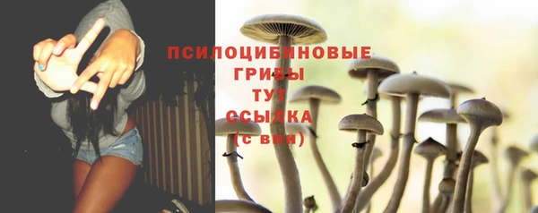 spice Армянск